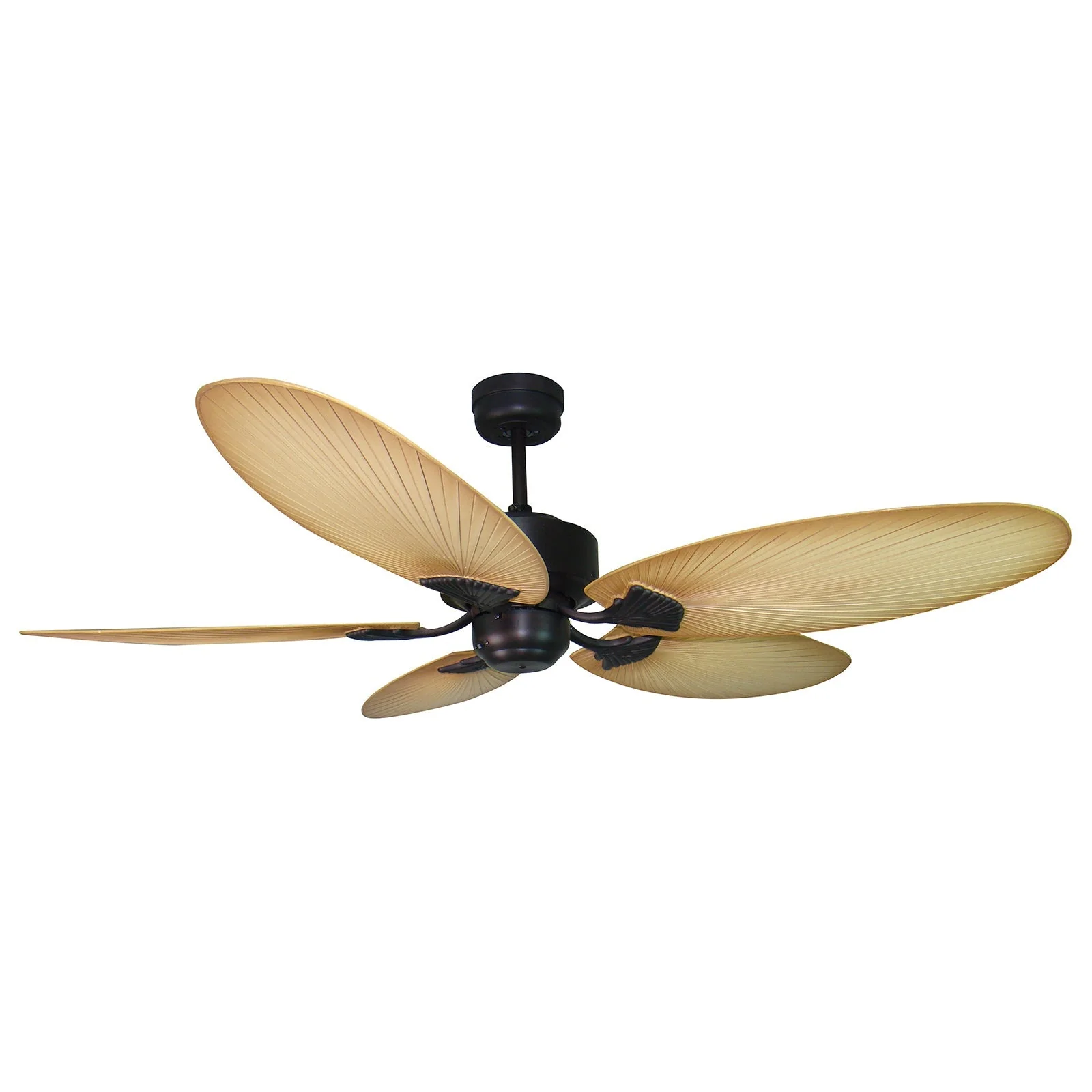 Ceiling fan Kewarra D52 AC BR