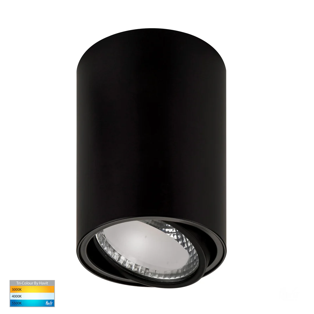 Surface downlight Nella BLK Adjustible 3CCT LED 12W IP54