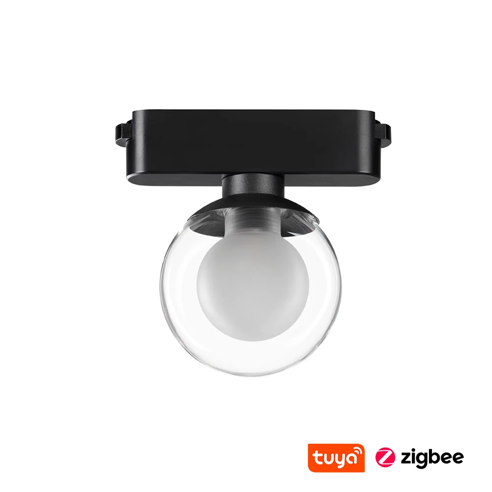 Track Clear Ball Z5090-6.36.CCT.BK 24V 6W WIFI