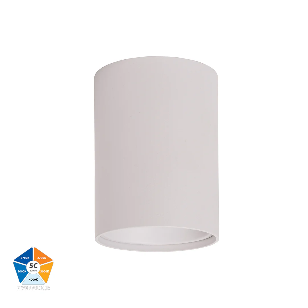 Surface downlight Nella WHT 5CCT LED 12W IP54