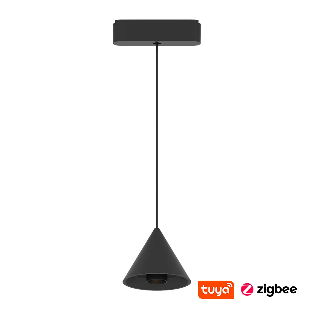 Track Cone Pendant light Z5005-6.24.CCT.BK 24V 6W WIFI