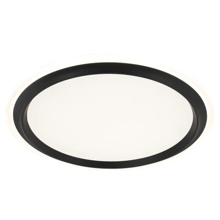 Oyster light Duke 60w Black