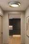 Ceiling lamp Zen C40 GR
