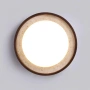 Ceiling  lamp Lyra Natural Stone LED CCT