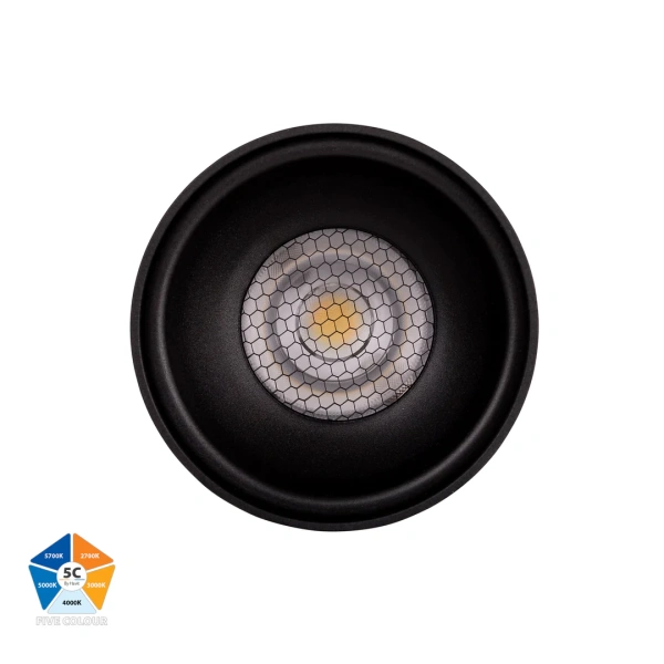 Surface downlight Nella BLK 5CCT LED 12W IP54