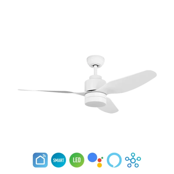 Ceiling fan Tanderra DC LED Wi-Fi WH47