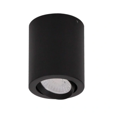 Downlight NEO-10-SM-TILT-BLK 21294 TRIO