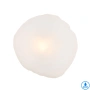 Wall light ZECCA D200 H200 IP44 BLACK SMOKE GLASS Display