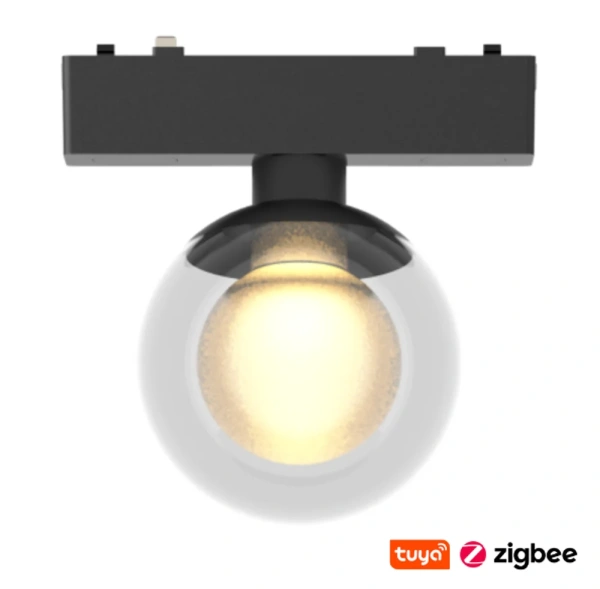 Track Clear Ball Z3090-6.36.CCT.BK 48V 6W WIFI