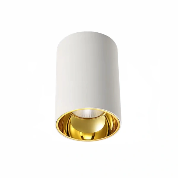 Surface downlight Gold Cylinder ZTUBE-10.95.CCT.WHG LED 10W