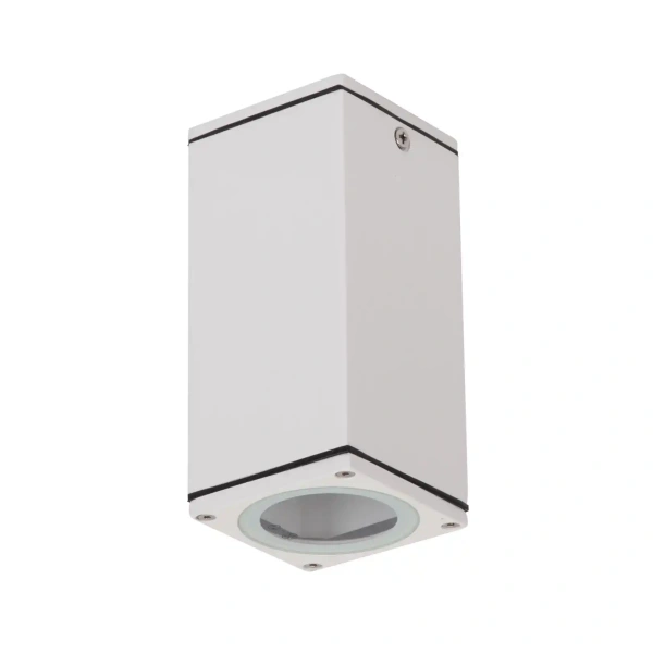 Ceiling lighting ALPHA-SM-WHT 19136