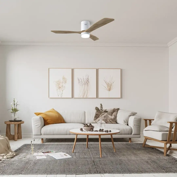 Ceiling fan Fiji DC LED Wi-Fi WD52