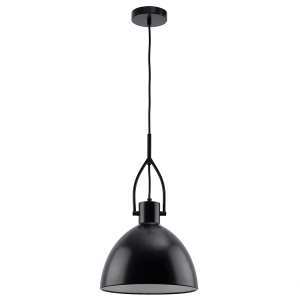 Pendant lamp Terrence 1Lt D300 E27 BL