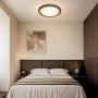 Ceiling  lamp Lyra Natural Stone LED CCT