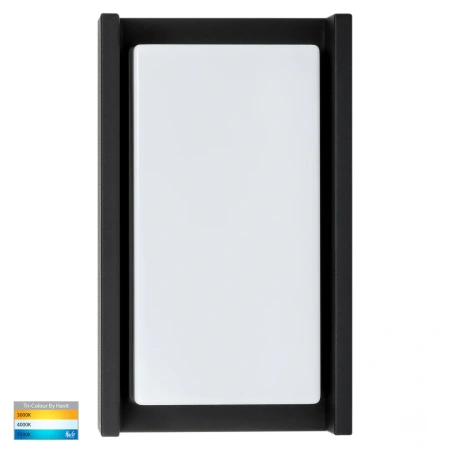 Wall light Nepean BLK LED HV3668T-BLK IP65