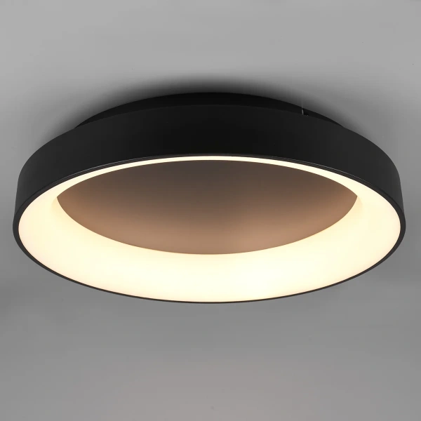 Ceiling lamp Oto C60 LED 20W BL