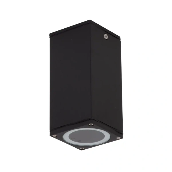 Ceiling lighting ALPHA-SM-BLK 19808