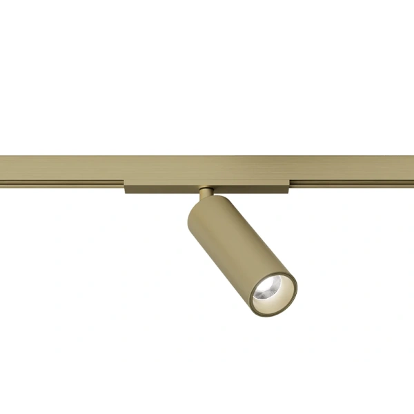 Track spotlight AXIS Brass 48V 8W CCT