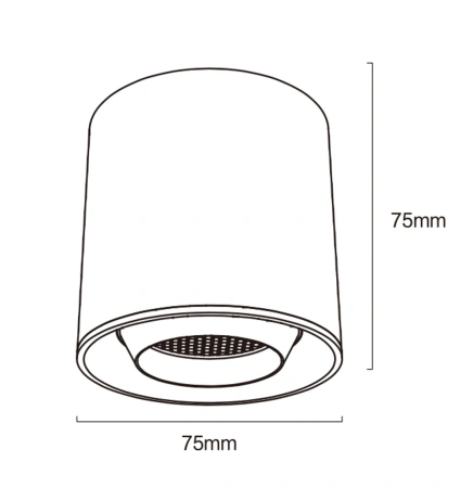 Track Cylinder spotlight Z3021-6.36.CCT.BK 48V 6W WIFI