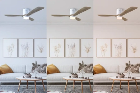 Ceiling fan Fiji DC LED Wi-Fi WD52