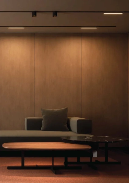 Track Opal S Ball Z3065-6.OP.30.BK 48V  6W