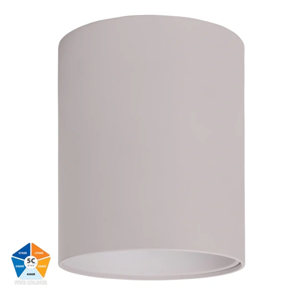 Surface downlight Nella WHT 5CCT LED 24W IP54