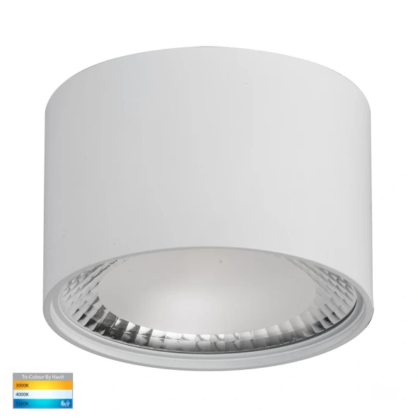 Surface downlight Nella WHT 3CCT LED 12W IP54