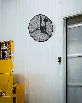 Wall fan Broome FF103330BK