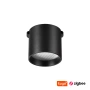 Track Cylinder floodlight Z5021-6.36.CCT.BK 24V 6W WIFI