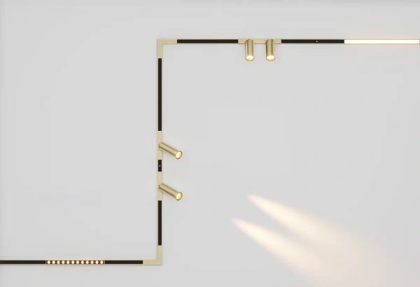 Track spotlight AXIS Double Brass 48V 16W CCT