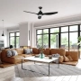 Ceiling fan Karinya DC LED Wi-Fi BL52