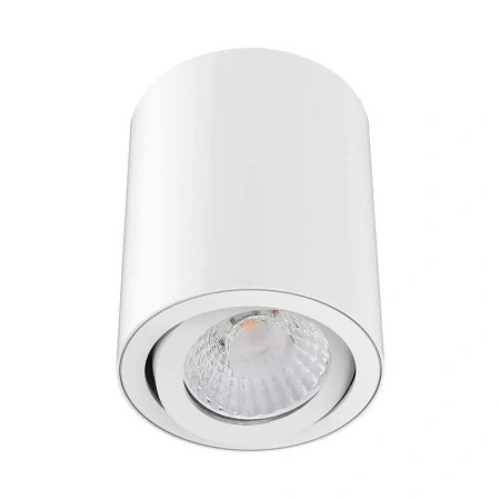 Downlight NEO-10-SM-TILT-WHT 21298 TRIO