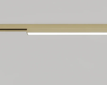 Track opal light LINEO Brass 48V 20W CCT