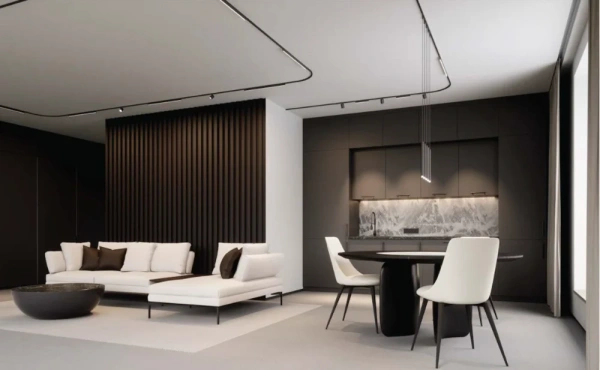 Track opal light Z1045-10.OP.30.BK 24V 10W 3K