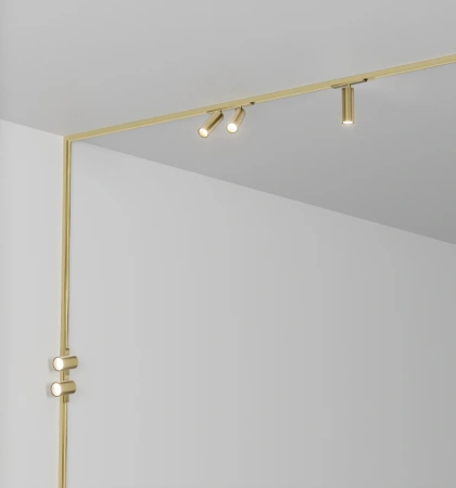 Track spotlight AXIS Double Brass 48V 16W CCT