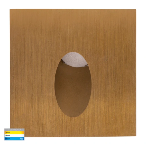 Step light RECES HV3215T-BR-12V