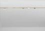 Track opal light LINEO Titan 48V 20W CCT