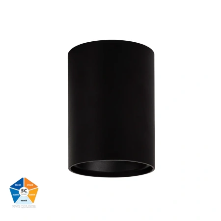 Surface downlight Nella BLK 5CCT LED 12W IP54