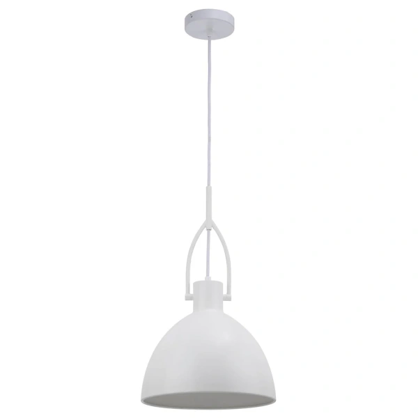 Pendant lamp Terrence 1Lt D300 E27 WH