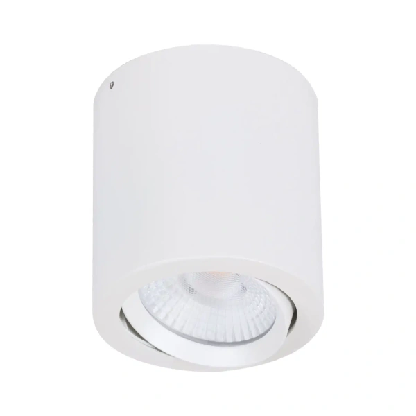 Downlight NEO-SM¬†TILT¬†20W¬†LED¬†Surface Tricolor WHT
