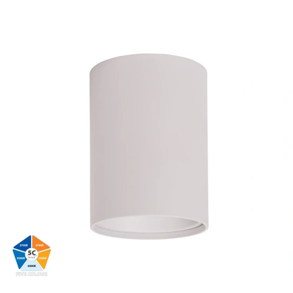 Surface downlight Nella WHT 5CCT LED 12W IP54