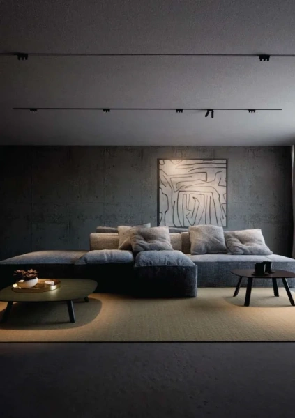 Track Spotlight Z3015-18.36.30.BK 48V 18W