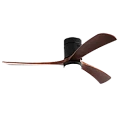 Ceiling fans 50