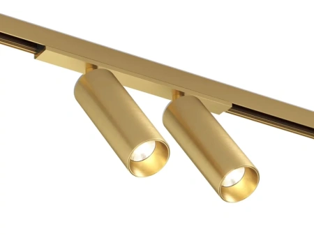 Track spotlight AXIS Double Brass 48V 16W CCT